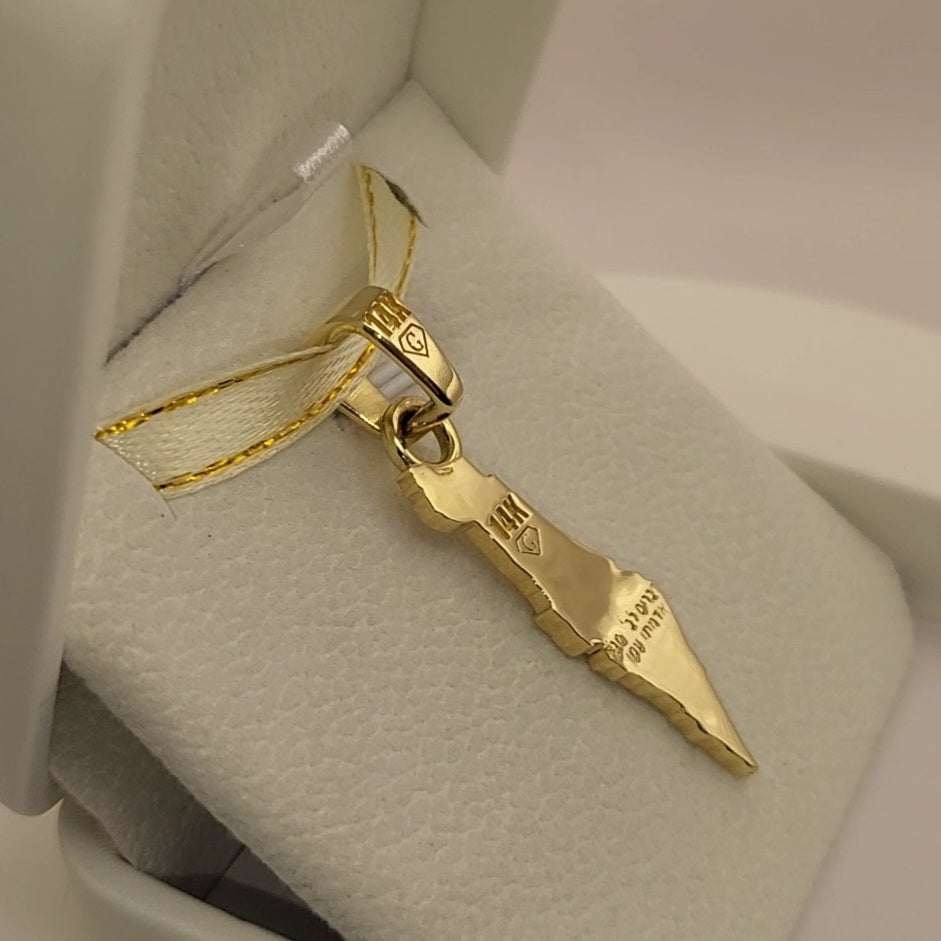 Grand 14K Gold Map of ISRAEL Pendant with Magen David - Special Edition for Thick Chains