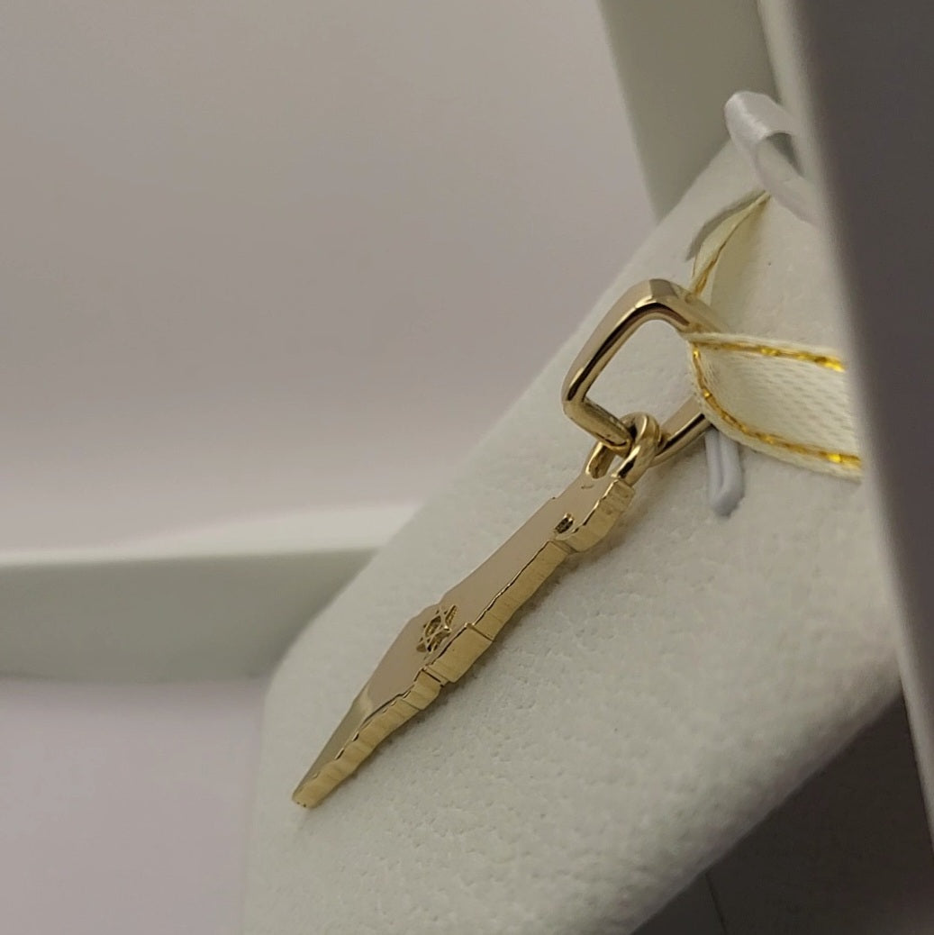 Grand 14K Gold Map of ISRAEL Pendant with Magen David - Special Edition for Thick Chains