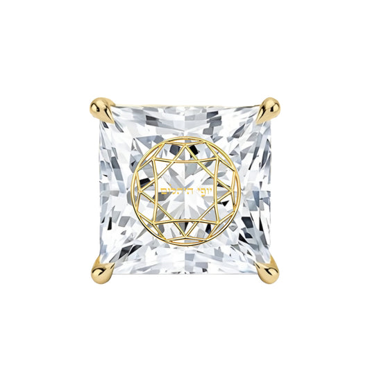 עגיל יהלום מעבדה פרינסס עם חריטת לייזר בעיצוב אישי – זהב 14 קראט צהוב/לבן/רוז גולד – עגיל ייחודי