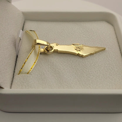 Grand 14K Gold Map of ISRAEL Pendant with Magen David - Special Edition for Thick Chains