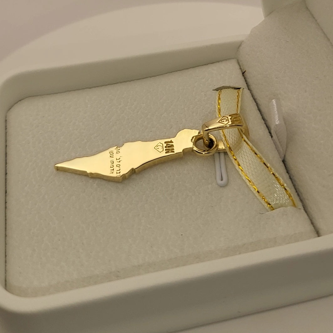 Grand 14K Gold Map of ISRAEL Pendant with Magen David - Special Edition for Thick Chains