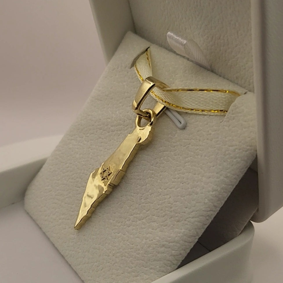 Grand 14K Gold Map of ISRAEL Pendant with Magen David - Special Edition for Thick Chains