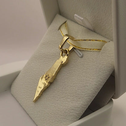 Grand 14K Gold Map of ISRAEL Pendant with Magen David - Special Edition for Thick Chains