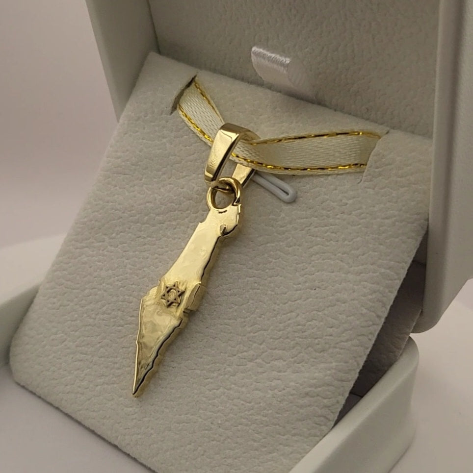 Grand 14K Gold Map of ISRAEL Pendant with Magen David - Special Edition for Thick Chains