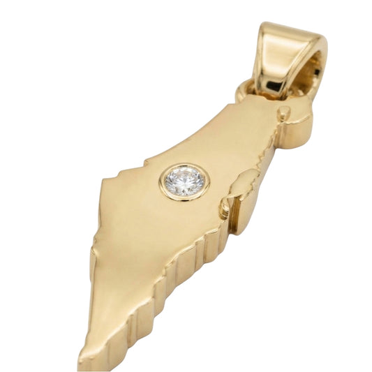 ISRAEL 3D Map With Lab Grown Diamond Set Custom Design Pendant 14K Yellow/White/Rose Gold