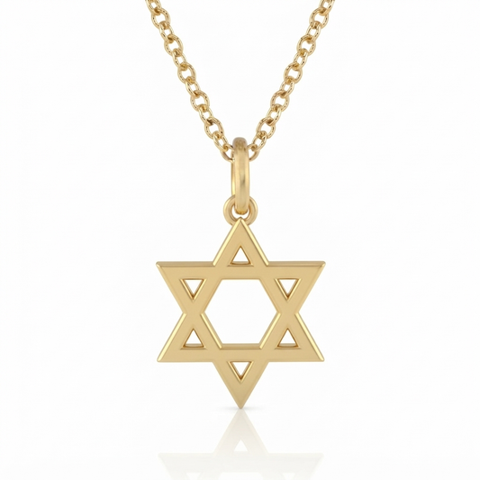 שרשרת תליון מגן דוד בעיצוב אישי זהב 14 קראט צהוב/לבן/רוז גולד