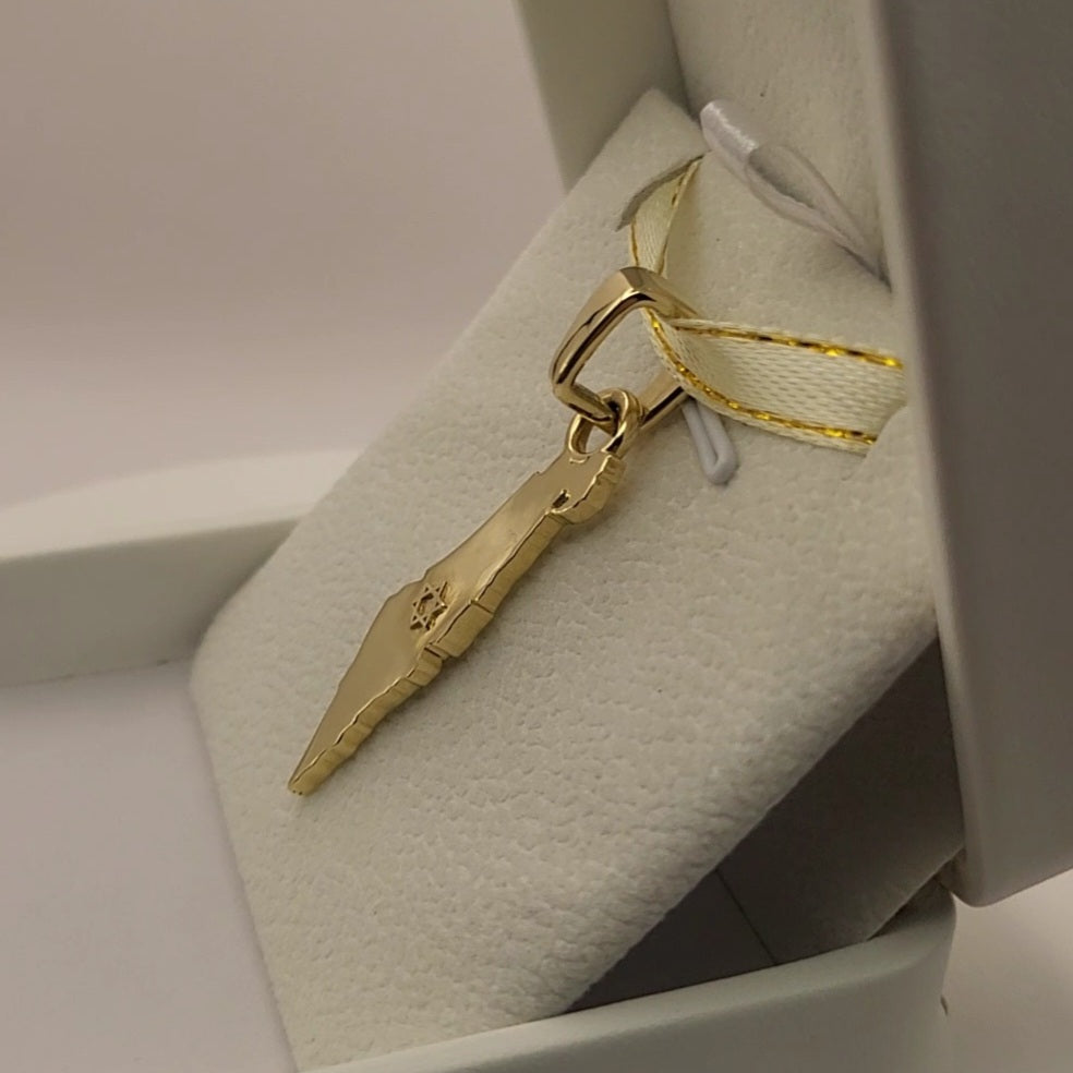 Grand 14K Gold Map of ISRAEL Pendant with Magen David - Special Edition for Thick Chains