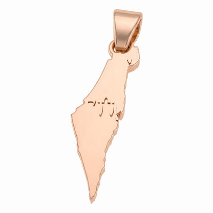 תליון מפת ארץ ישראל עם חי זהב 14 קראט צהוב/לבן/רוז גולד - עיצוב מיוחד