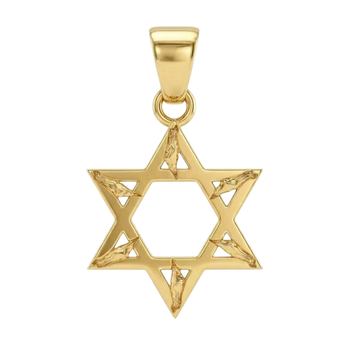 תליון מגן דוד בשילוב מפת ארץ ישראל זהב 14 קראט צהוב/לבן/רוז גולד - עיצוב מיוחד