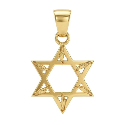 תליון מגן דוד בשילוב מפת ארץ ישראל זהב 14 קראט צהוב/לבן/רוז גולד - עיצוב מיוחד