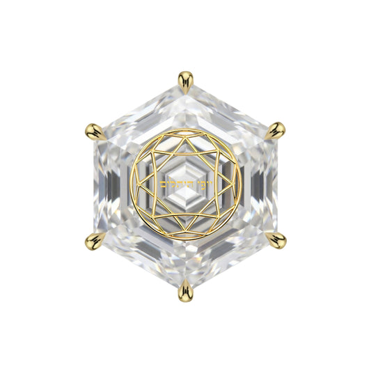 עגיל יהלום מעבדה משושה Hexagonal זהב 14 קראט צהוב/לבן/רוז גולד – עגיל ייחודי